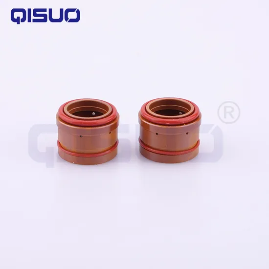 Ygx200 Plasma Cutting Torch Consumable Ygx200207 Swirl Ring